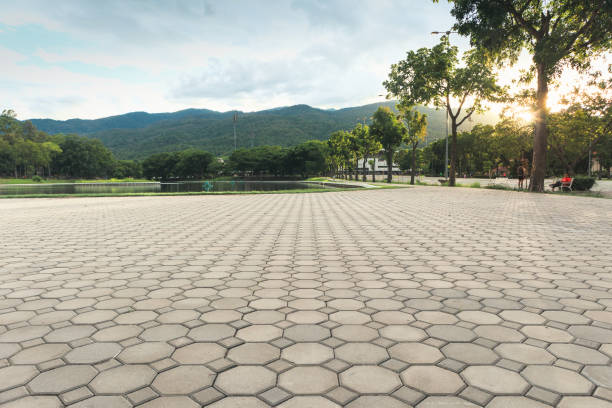 Best Affordable Driveway Pavers  in Plum Grove, TX