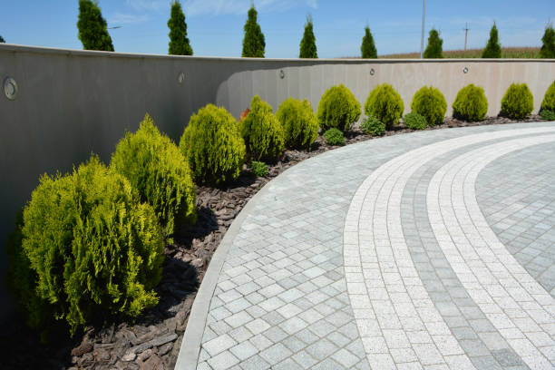  Plum Grove, TX Driveway Pavers Pros