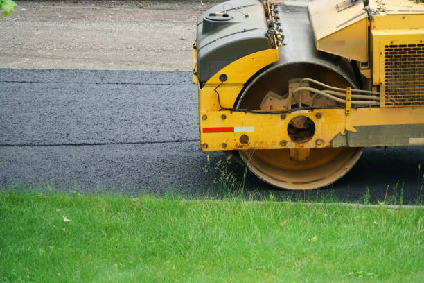 Best Driveway Repair Near Me  in Plum Grove, TX